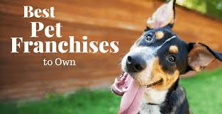 Enjoy thanks to the specialized service of this pet franchise greatly